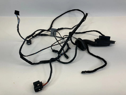 2009 2010 BMW 535I XDRIVE REAR RIGHT SIDE DOOR WIRING WIRE HARNESS 9163153 OEM