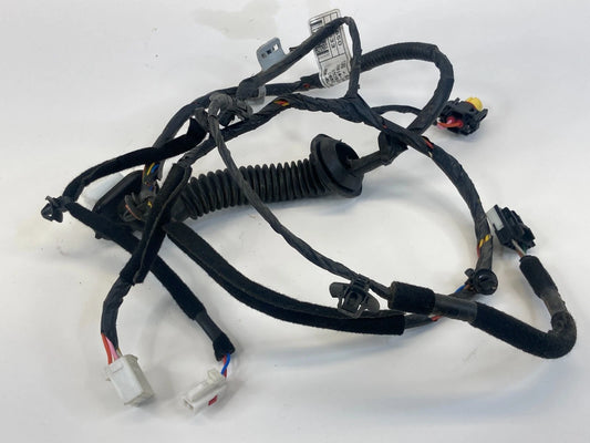2012-2017 HYUNDAI ACCENT REAR LEFT SIDE DOOR WIRE WIRING HARNESS 916501R033