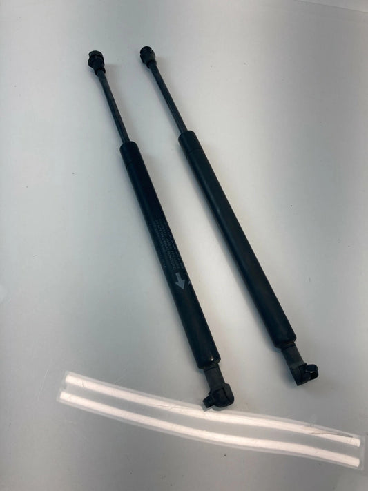 2003-2007 NISSAN MURANO LEFT & RIGHT HOOD SHOCK STRUTS LIFT SUPPORT SET OEM