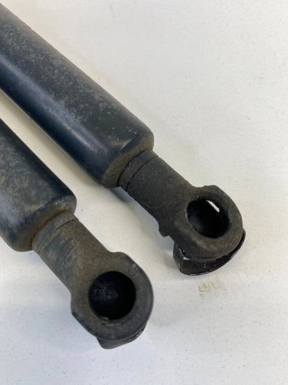 04-10 BMW X3 REAR TRUNK HATCH LIFT SUPPORT CYLINDER SHOCK STRUT SET 51243400379