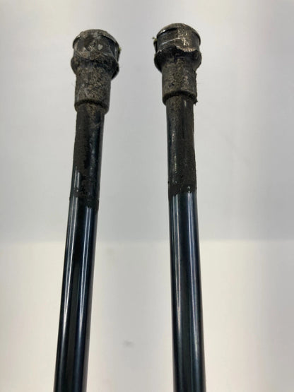 2000-2006 TOYOTA TUNDRA HOOD SHOCK STRUTS LIFT SUPPORT ABSORBER PAIR 53450-0C012