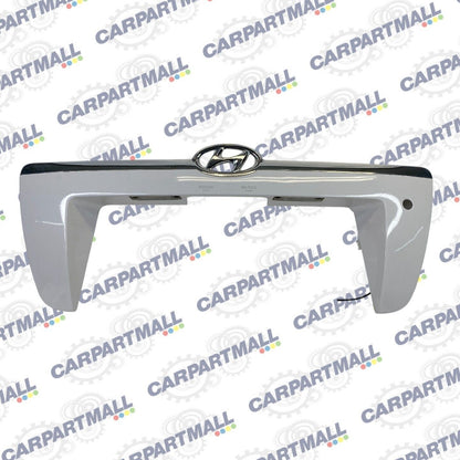 2005-2008 Hyundai Tucson Rear Lift Gate Hatch Licenser Plate Trim Molding OEM
