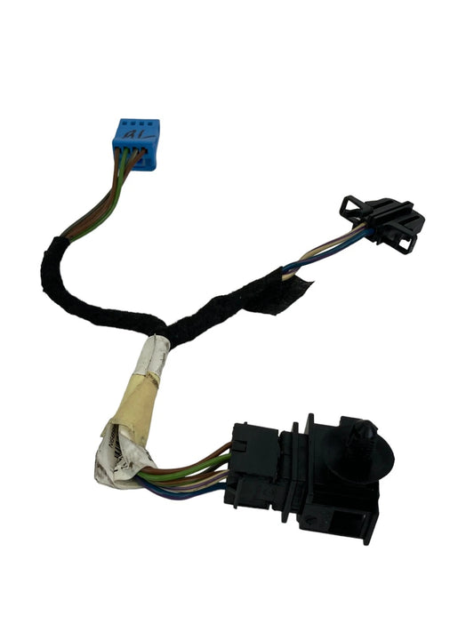 2010 10 VW VOLKSWAGEN PASSAT REAR LEFT DOOR WIRE WIRING HARNESS CABLE OEM