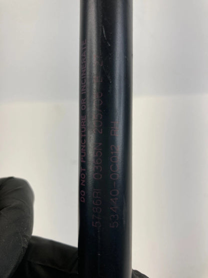 2000-2006 TOYOTA TUNDRA HOOD SHOCK STRUTS LIFT SUPPORT ABSORBER PAIR 53450-0C012