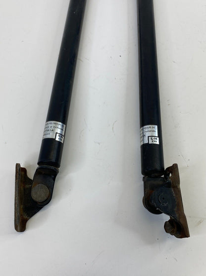 1999-2003 Lexus RX300 Rear Trunk Tailgate Strut Shock Lid Support Pair OEM