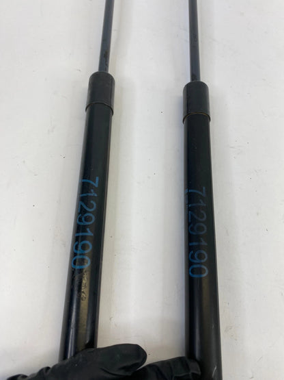 2009-2012 BMW 328i XDRIVE HOOD SHOCK STRUT LIFT SUPPORT PAIR SET 7129190 OEM