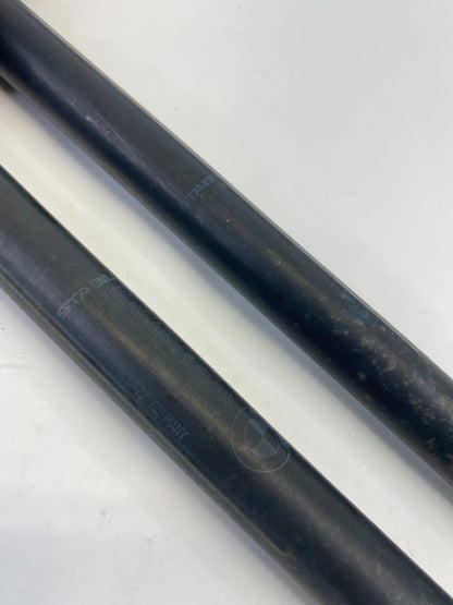 2004-2010 BMW X3 REAR TRUNK HATCH LIFT SUPPORT CYLINDER SHOCK STRUT SET OEM