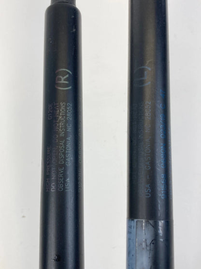 16-19 FORD EXPLORER INTERCEPTOR REAR TRUNK LIFTGATE SUPPORT SHOCK STRUTS SET OEM