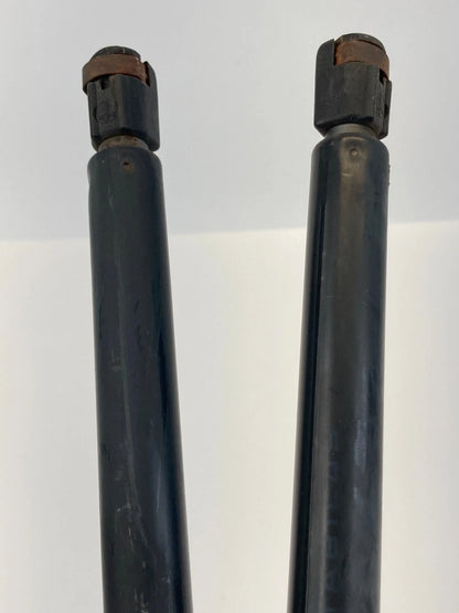 02-05 FORD EXPLORER MOUNTAINEER REAR LIFTGATE TRUNK SUPPORT SHOCK STRUTS PAIR