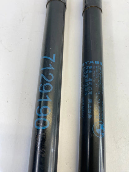 2009-2012 BMW 328i XDRIVE HOOD SHOCK STRUT LIFT SUPPORT PAIR SET 7129190 OEM