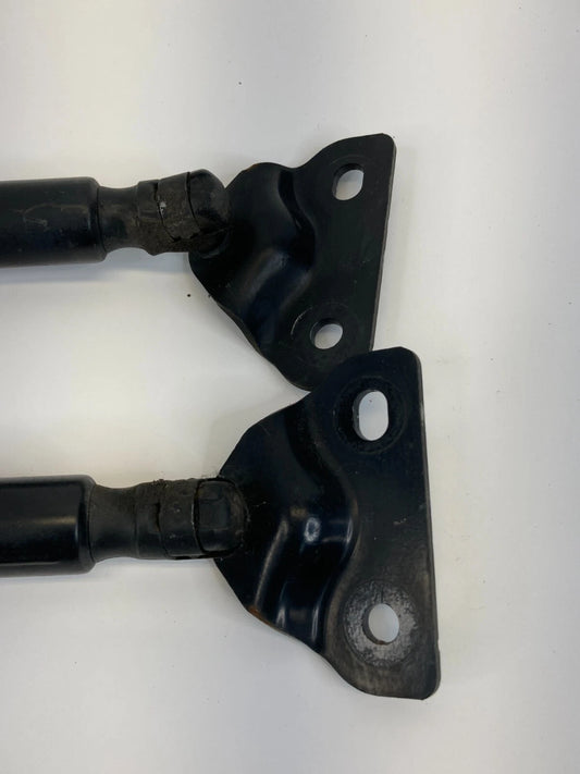 09 10 11 DODGE JOURNEY LIFTGATE TRUNK LIFT CYLINDER SUPPORT SHOCK SET 05178293AC