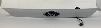 14-19 FORD FIESTA SEDAN REAR TRUNK LID LICENSE PLATE MOLDING EMBLEM D2BBF43404BD