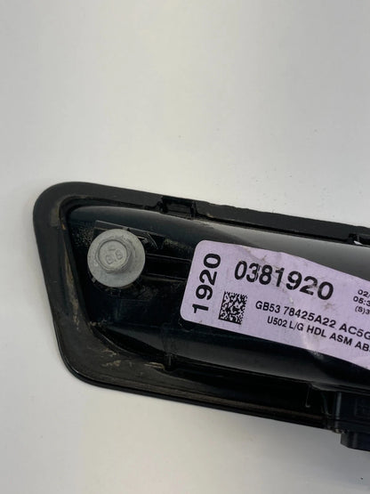 16-19 FORD INTERCEPTOR TAILGATE LIFTGATE BACK DOOR RELEASE HANDLE GB5378425A22AC