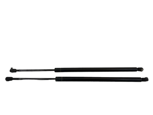 03-07 HONDA PILOT TAILGATE LIFTGATE HATCH LIFT SUPPORT SHOCK STRUT PAIR SET
