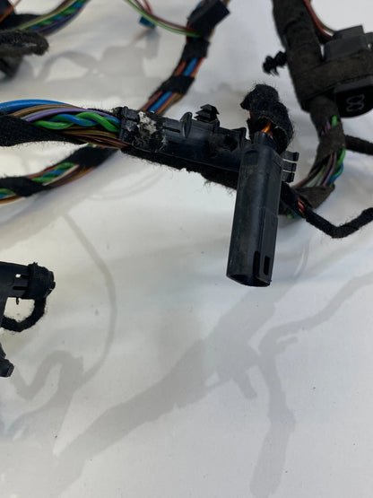 2007-2013 BMW X5 REAR RIGHT PASSENGER SIDE DOOR WIRING LOOM WIRE HARNESS OEM
