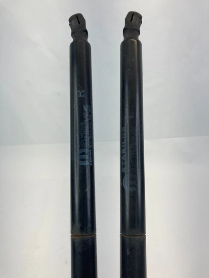 12-15 RAM CARGO VAN REAR LIFTGATE LIFT SUPPORTS SHOCK STRUTS PAIR SET 4589654AC