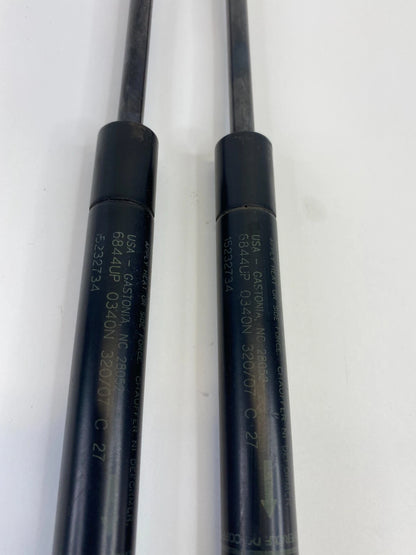 2005-2010 PONTIAC G6 REAR TRUNK TAILGATE LIFTGATE LIFT SUPPORT SHOCK STRUT SET
