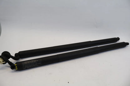 2020-2024 FORD EXPLORER LIFTGATE POWER SUPPORT STRUT CYLINDER SET 2 LB5B-S402A55