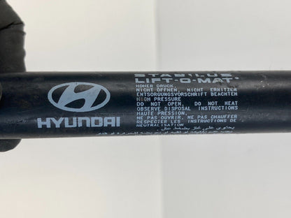 2008-2010 Hyundai Sonat Rear Left & Right Trunk Struts Shock Support Set of Two