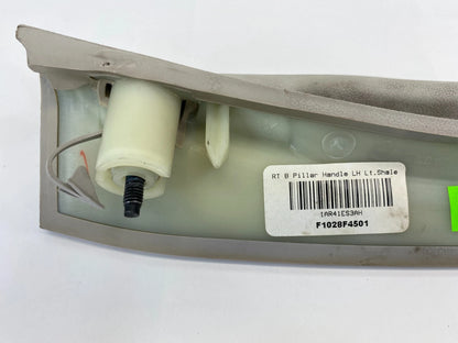 2008-2010 CHRYSLER TOWN & COUNTRY REAR LEFT PILLAR GRIP GRAB HANDLE F1028F4501