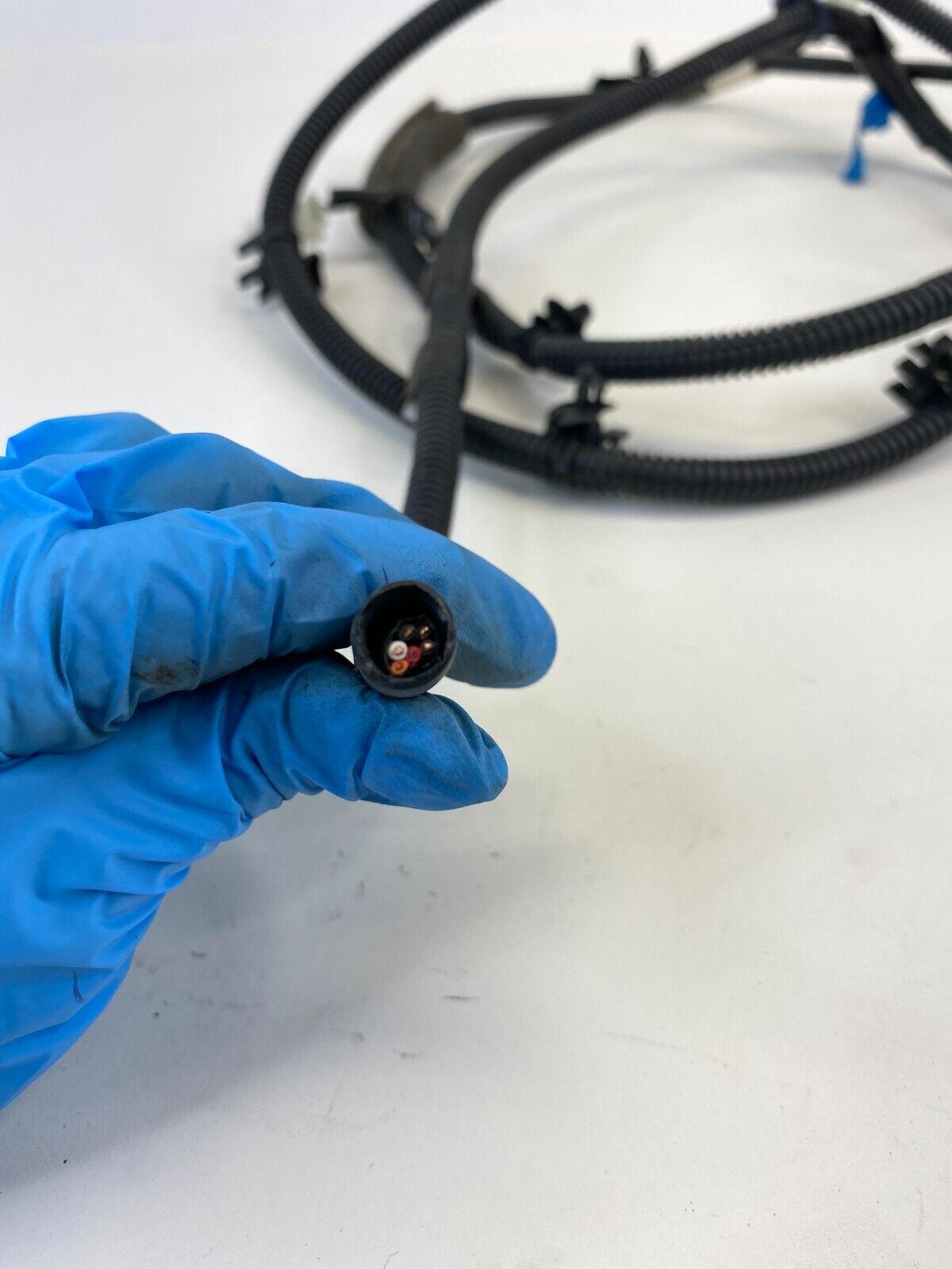 2009 09 Honda Accord Sedan Rear Trunk Lid Wire Harness Wiring OEM