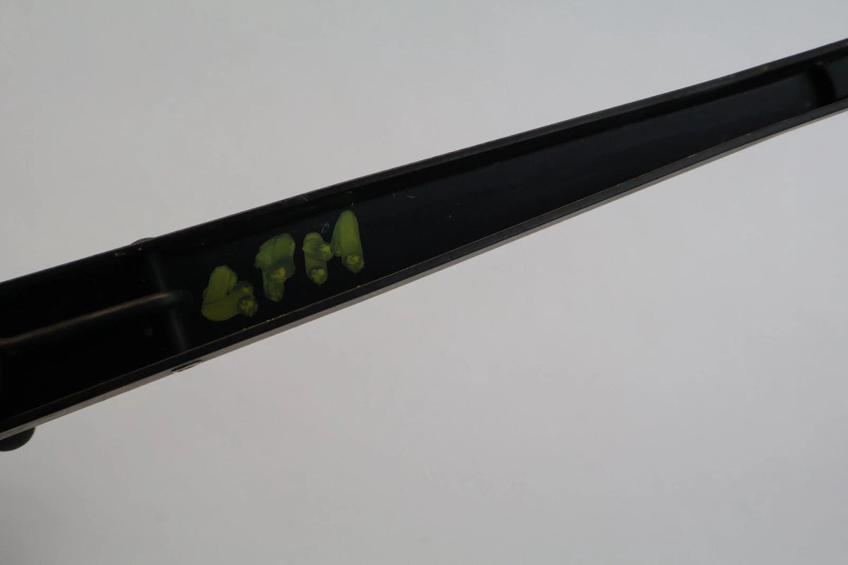 2006-2011 HYUNDAI ACCENT FRONT WINDSHIELD WIPER ARM PAIR SET OEM