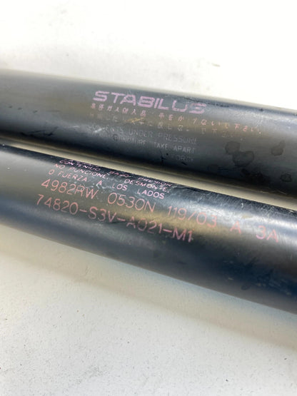 2001-2006 ACURA MDX TAILGATE LIFTGATE LIFT SUPPORT SHOCK STRUT PAIR SET OEM