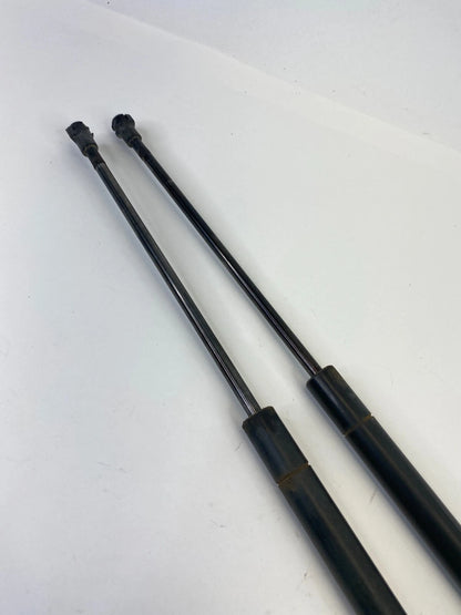 2004-2010 BMW X3 REAR TRUNK HATCH LIFT SUPPORT CYLINDER SHOCK STRUT SET OEM