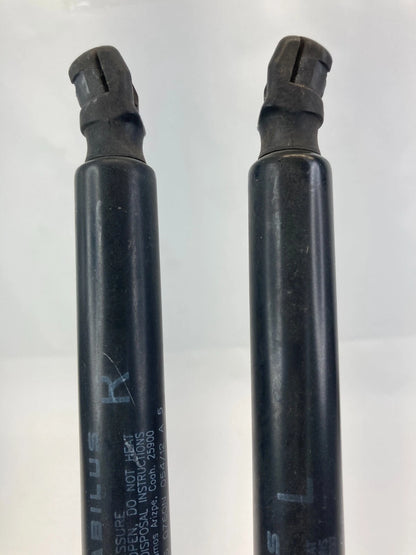12-15 RAM CARGO VAN REAR LIFTGATE LIFT SUPPORTS SHOCK STRUTS PAIR SET 4589654AC