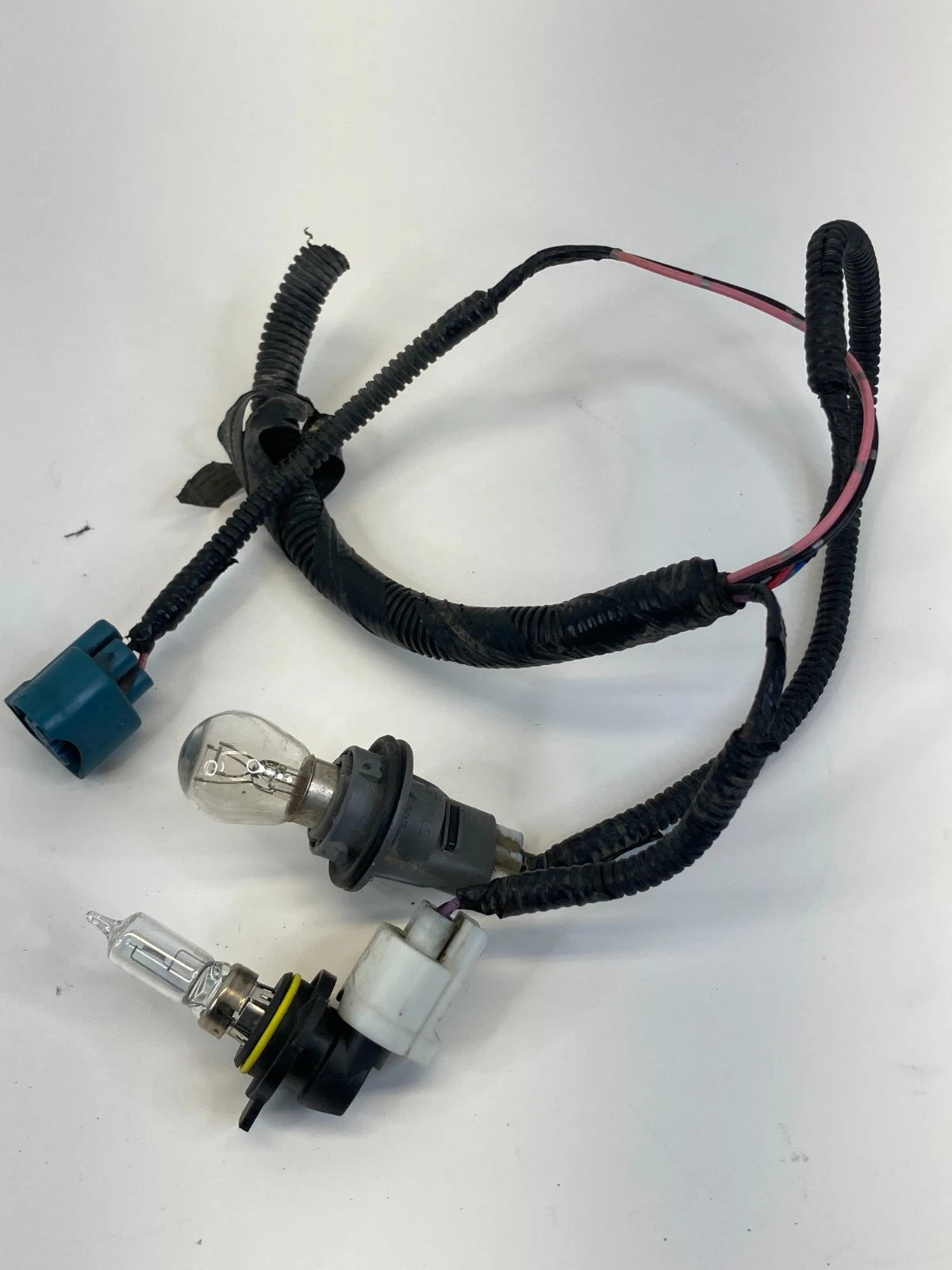 2006 2007 2008 Honda Civic Front Headlight Wire Harness Connector w/ Socket OEM