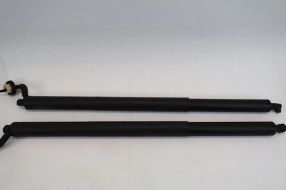 2020-2024 FORD EXPLORER LIFTGATE POWER SUPPORT STRUT CYLINDER SET 2 LB5B-S402A55