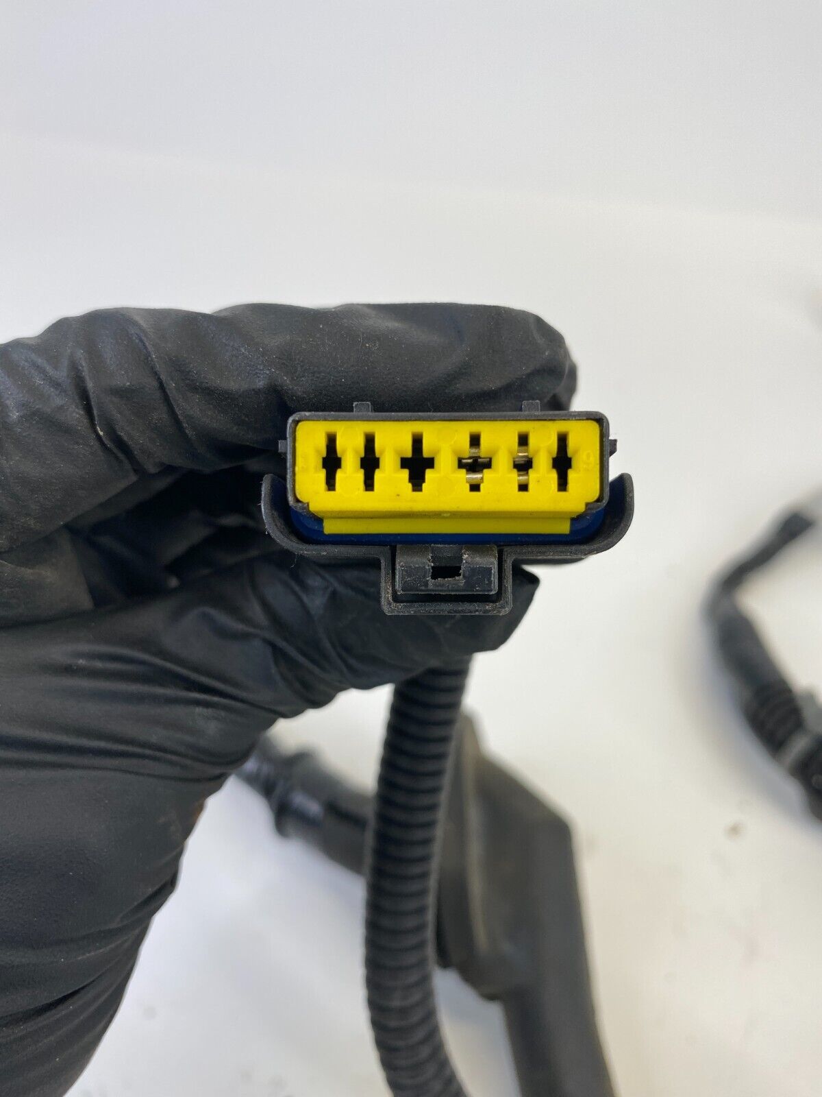 2004-2008 Nissan Maxima Rear Right Side Door Wire Wiring Harness 24126-ZA300 OEM