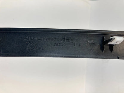 2010-2012 FORD TAURUS REAR RIGHT DOOR TRIM MOLDING APPLIQUE AG13-542771B36 OEM