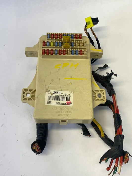 2010-2013 KIA FORTE 07-10 HYUNDAI ELANTRA INTERIOR CABIN FUSE BOX 919502H510 OEM
