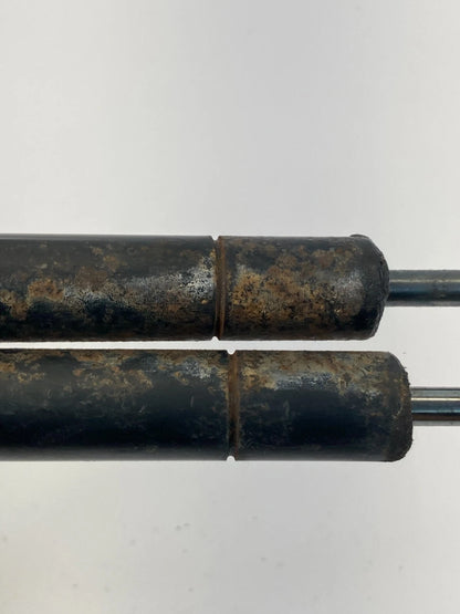 09 10 11 DODGE JOURNEY LIFTGATE TRUNK LIFT CYLINDER SUPPORT SHOCK SET 05178293AC
