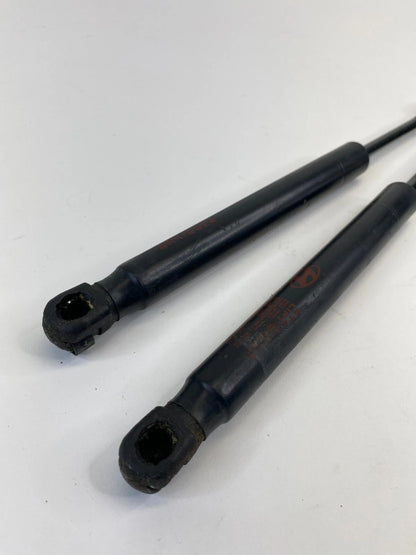2006 2007 HYUNDAI SONATA REAR DECKLID TRUNK LIFT SUPPORT SHOCKS STRUTS PAIR OEM