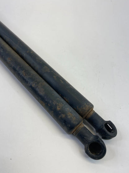 2004-2010 BMW X3 REAR TRUNK HATCH LIFT SUPPORT CYLINDER SHOCK STRUT SET OEM