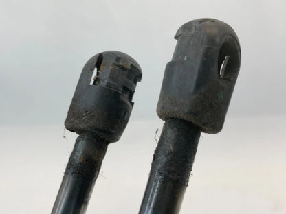 2008-2016 CHRYSLER TOWN & COUNTRY REAR LIFTGATE TAILGATE SUPPORT SHOCKS PAIR OEM