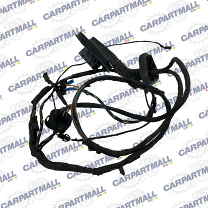 2006 2007 BMW 530i Rear Right Side Door Wiring Wire Harness Cable 6928360 OEM