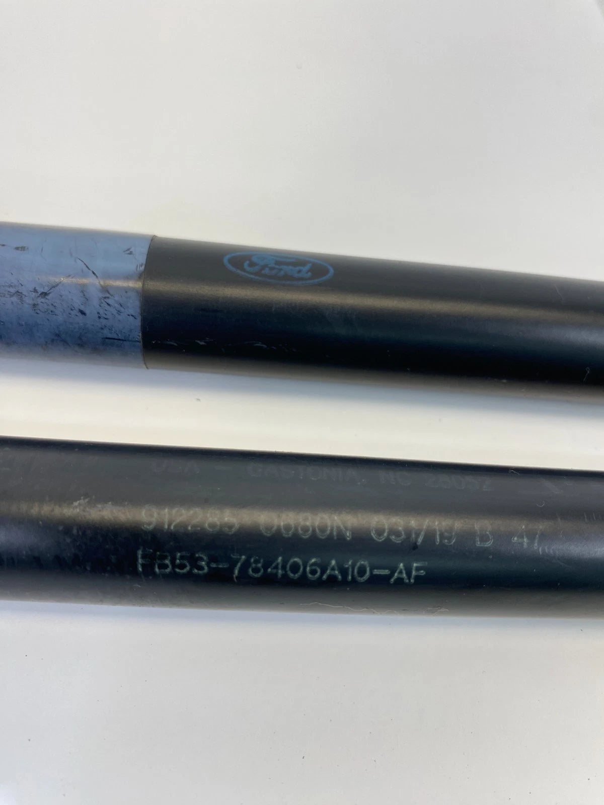 2016-2019 FORD EXPLORER POLICE REAR TRUNK LIFTGATE SUPPORT SHOCK STRUTS PAIR