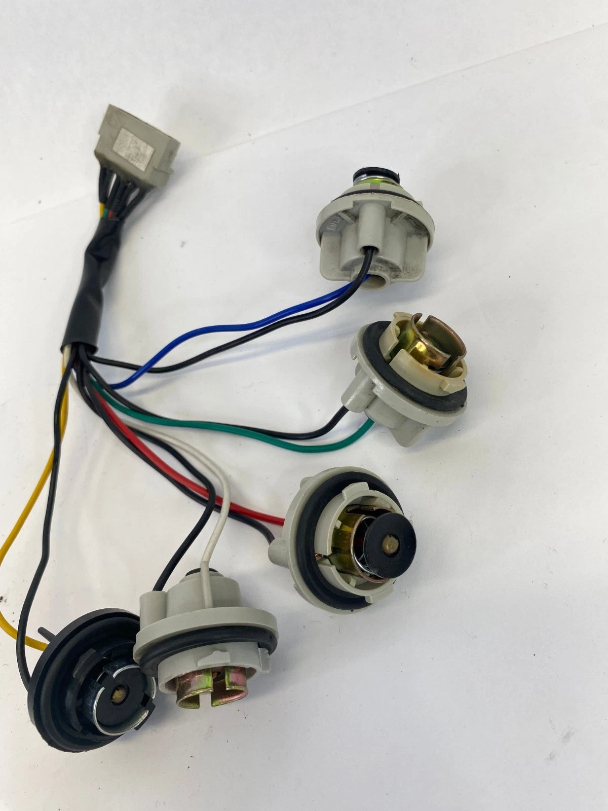1999-2005 VW JETTA REAR TAIL LIGHT BULB SOCKET CONNECTOR WIRING HARNESS PLUG OEM
