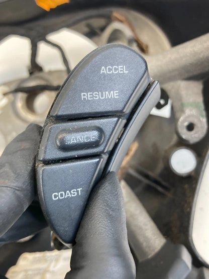 2002-2005 DODGE RAM 1500 STEERING WHEEL DARK SLATE CRUISE 5JA33XDVAF OEM