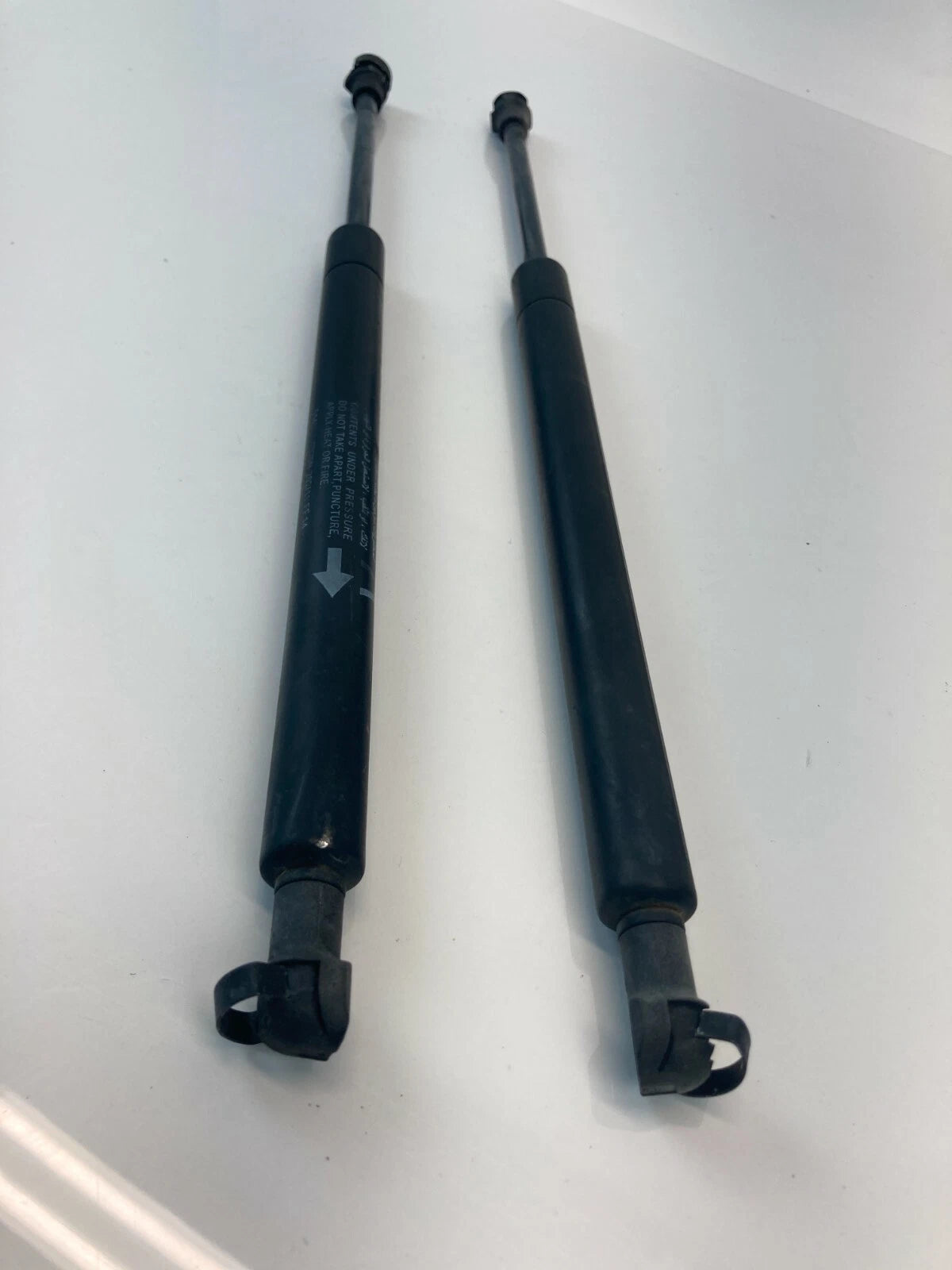 2003-2007 NISSAN MURANO LEFT & RIGHT HOOD SHOCK STRUTS LIFT SUPPORT SET OEM