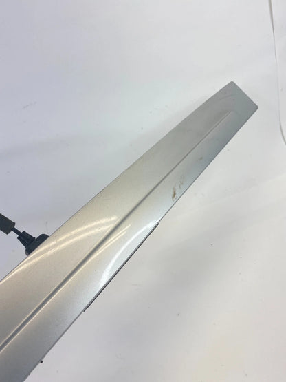 09-14 VOLKSWAGEN ROUTAN TRUNK LID FINISH HANDLE GARNISH LICENSE LIGHT MOLDING