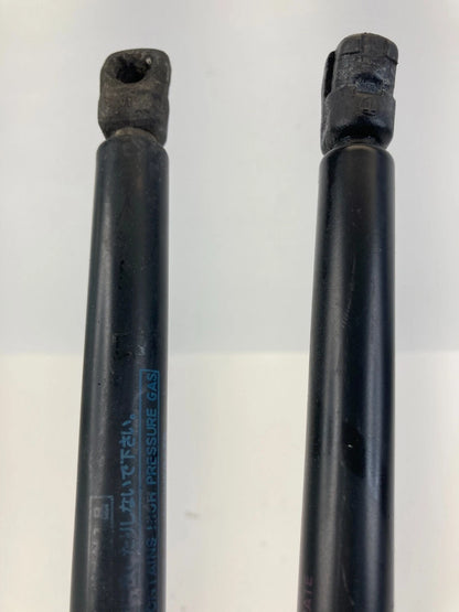 2000-2006 TOYOTA TUNDRA HOOD SHOCK STRUTS LIFT SUPPORT ABSORBER PAIR 53450-0C012