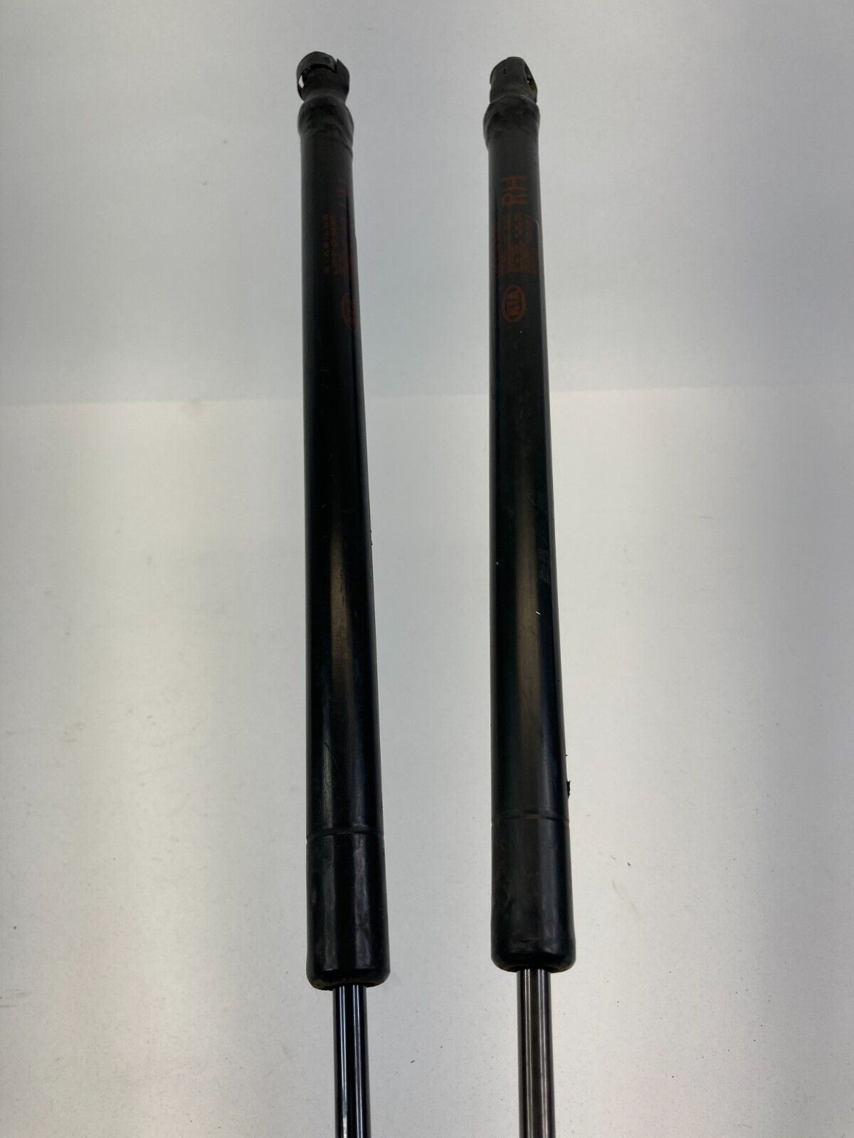 2005-2010 Kia Sportage Tailgate Trunk Lift Cylinder Strut Shock Pair Set OEM