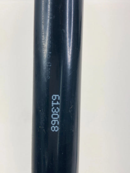 2012-2019 FIAT 500 REAR TRUNK LIFTGATE SUPPORT SHOCK STRUTS PAIR ASSEMBLY OEM