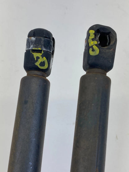 2002-2008 MINI COOPER PAIR OF REAR TAILGATE HATCH LIFT SUPPORT STRUT SHOCKS OEM