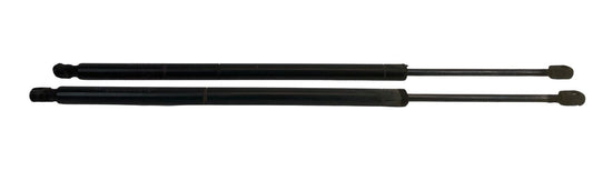 2008-2016 Chrysler Town & Country Rear Liftgate Lift Support Shock Struts