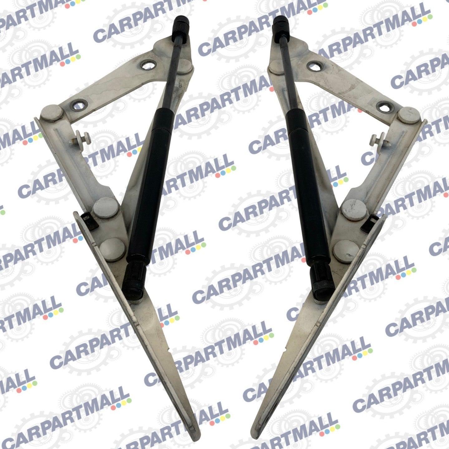 05-10 Pontiac G6 Rear Trunk Deck Lid Tailgate Tail Gate Boot Hinges Struts OEM